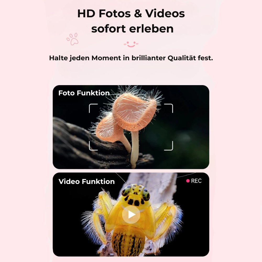 Dein Kindermikroskop - MicroCool